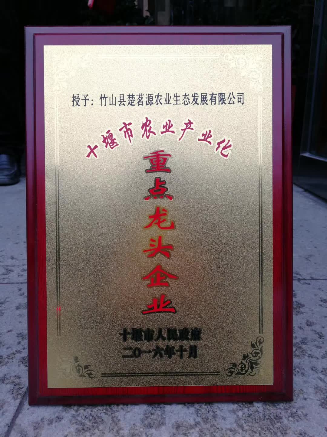 ΢ňDƬ_20180131155437.jpg